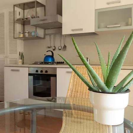 Mamma Ciccia - Conventino *