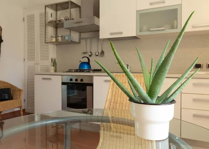 Mamma Ciccia - Conventino *